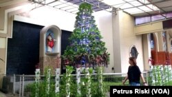 Pohon Natal sayuran hidroponik menghiasi halaman depan gedung gereja Katolik Paroki Kristus Raja di Surabaya, Jawa Timur. (Foto: Petrus Riski/VOA)