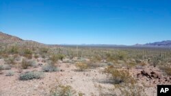 This undated image provided by Tucson Sector Border Patrol shows the desert terrain close to Arizona's boundary with Mexico near Lukeville, Arizona. 