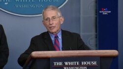 Կորոնավիրուսը կարող է վերադառնալ, եթե միջոցներ չձեռնարկվեն