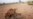 UN: Sahel Still Faces Humanitarian Crisis