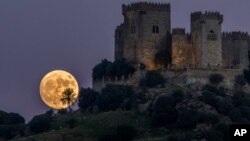 'Supermoon' terlihat di balik Puri Almodovar, di Cordoba, Spanyol selatan Minggu malam (13/11).