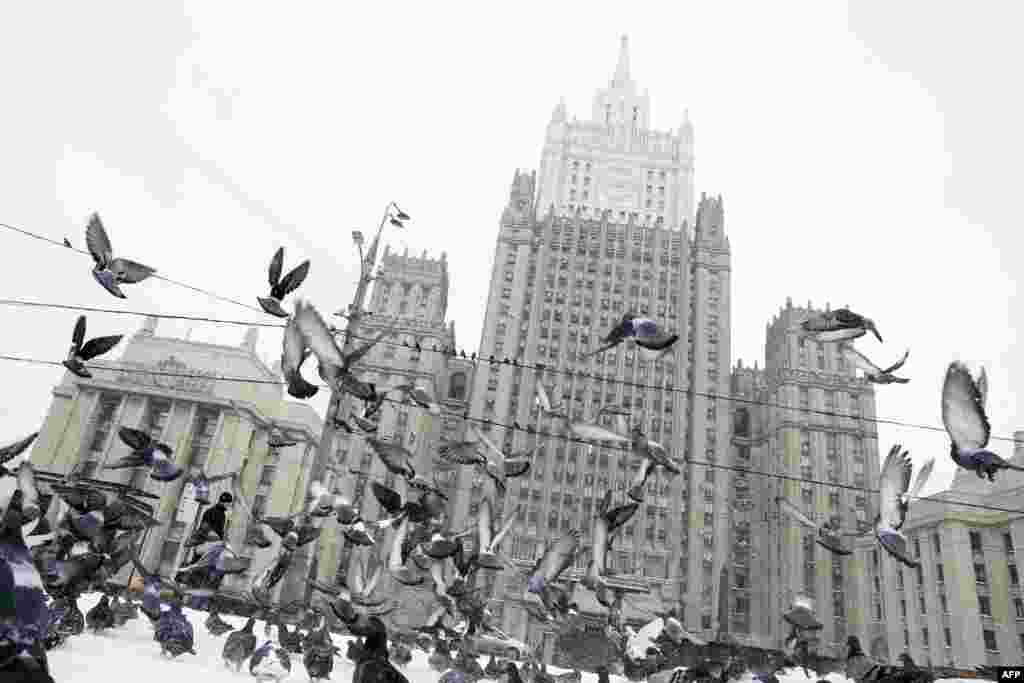 پرواز کبوترها مقابل ساختمان وزارت امورخارجه روسیه