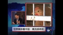 世界媒体看中国：禽流感再现 