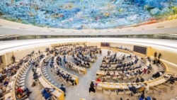 شورای حقوق بشر سازمان ملل متحد (آرشیو)