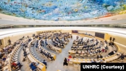 شورای حقوق بشر سازمان ملل متحد