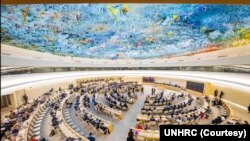 شورای امنیت سازمان ملل متحد