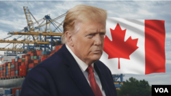 (合成图)特朗普总统表示，他将取消加拿大飞机的认证，并对销往美国的飞机征收50%的关税，理由是加拿大拒绝为美国制造的湾流喷气式飞机进行认证。