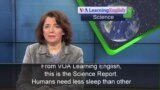 Humans Sleep Less, Better Than Other Mammals