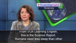 Humans Sleep Less, Better Than Other Mammals