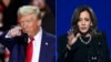 Trump - Harris