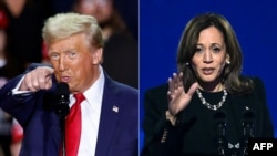 Trump - Harris