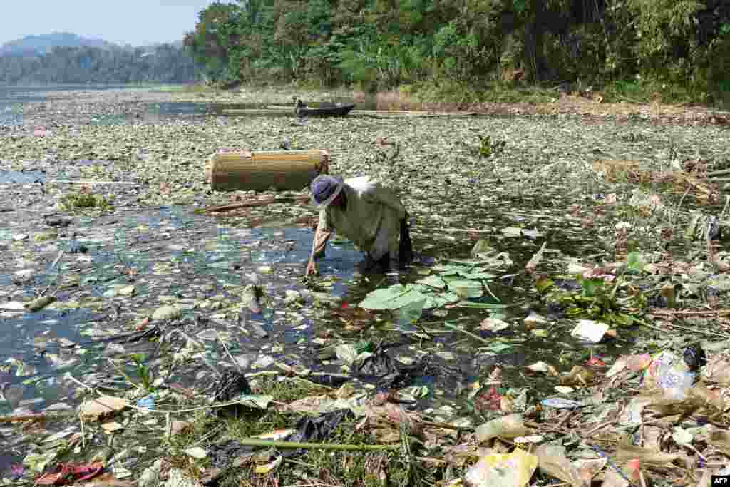 A scavenger collects plastic waste for recycling on the Citarum river choked with garbage and industrial waste, in Bandung, West Java province, Indonesia.