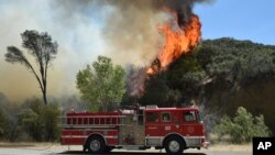 Más de 800 kilómetros cuadrados ha sido quemados por un incendio al norte de Napa Valley, en California.