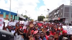 Interview With Obert Gutu on Public Protests