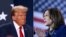 Trump (Hagu) Harris (Dama0