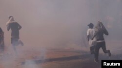 Faayilii-Hookkara Senegaal Keessaa