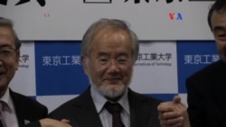 Científico Japonés gana Nobel de Medicina