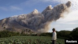 Seorang warga berdiri di ladang kubis saat Gunung Sinabung Gunung menyemburkan asap hitam, terlihat dari desa Pintu Besi di Kabupaten Karo, Provinsi Sumatera Utara di Indonesia, 19 Juni 2015 (Foto: dok).