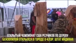 Кудесники бензопилы