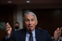 Dr. Anthony Fauci, Director of the National Institute of Allergy and Infectious Diseases at the National Institutes of Health, listens during a Senate hearing, Sept. 23, 2020, in Washington.