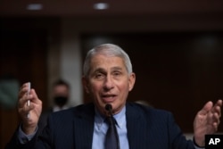 Dr. Anthony Fauci