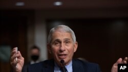 FILE - Dr. Anthony Fauci, Director of the National Institute of Allergy and Infectious Diseases at the National Institutes of Health, talks during a Senate hearing, Sept. 23, 2020, in Washington.