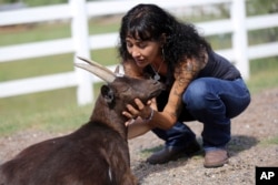 Joanne Cacciatore talks to OB1, a rescued goat, at the Selah Carefarm in Cornville, Arizona, Oct. 4, 2022.