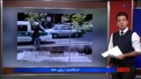اخبار شبانگاهی