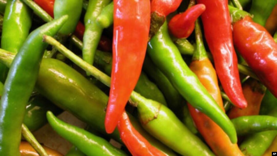Inspired by chili peppers, researchers are working toward a painkiller that could stop the brain from registering the presence of pain.