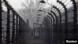 A visitor walks between electric barbed-wired fences at the Auschwitz-Birkenau memorial and former concentration camp November 18, 2013. 