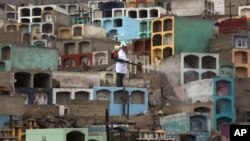 A health worker fumigates to prevent Dengue, Chikungunya and Zika virus, at Martires 19 de Julio cemetery in the outskirts of Lima, Peru, Feb. 9, 2016. 