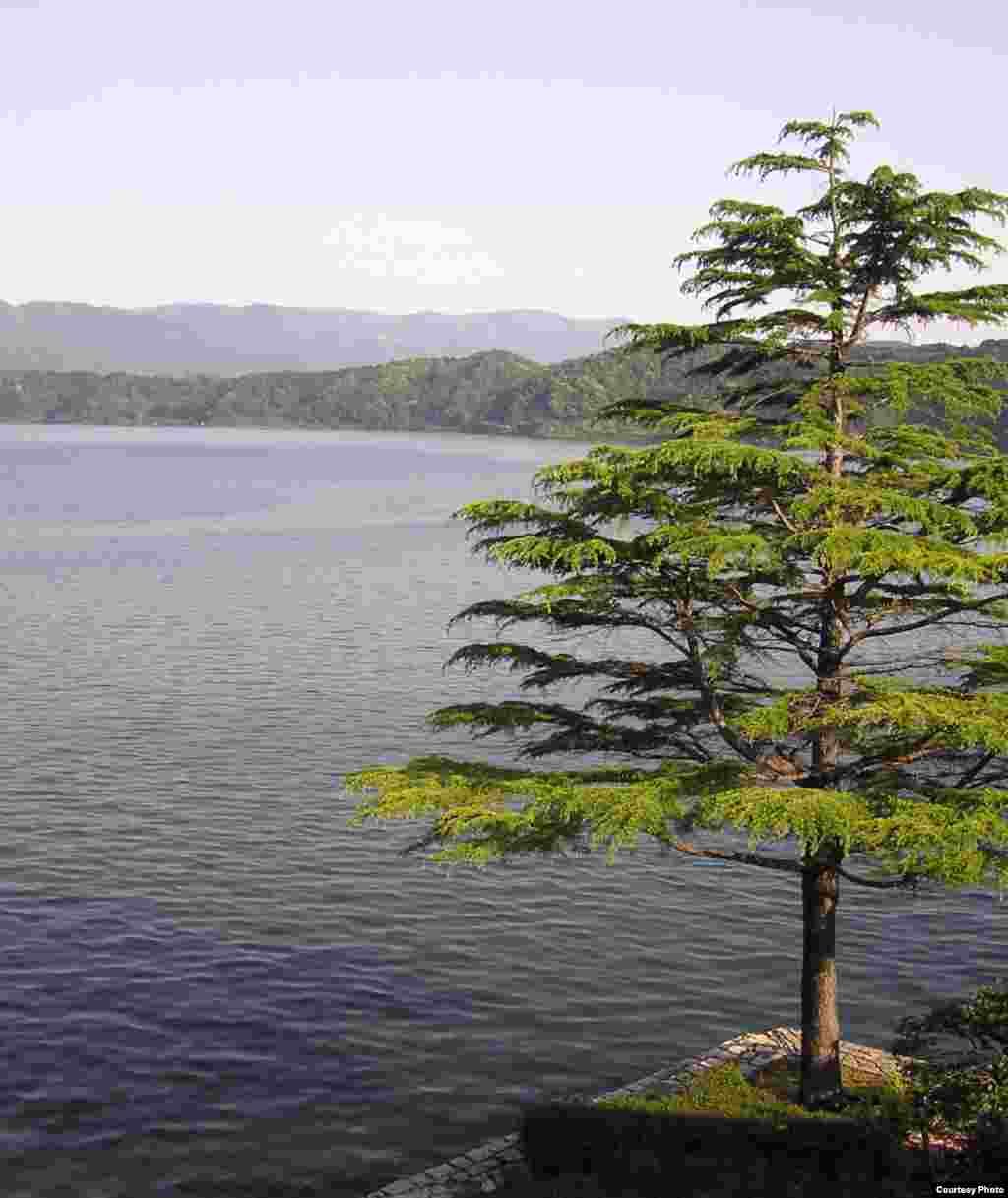 Scientists find perfectly preserved organic materials in sediment cores in Japan’s Lake Suigetsu. (Credit: Christopher Bronk Ramsey)