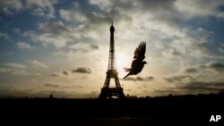 Le tour Eiffel, à Paris, le 15 novembre 2015.