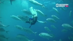 Цена подводного бизнеса