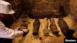 A Egyptian archaeologist examines mummies inside a tomb during the presentation of a new discovery at Tuna el-Gebel archaeological site in Minya Governorate, Egypt, Feb. 2, 2019.