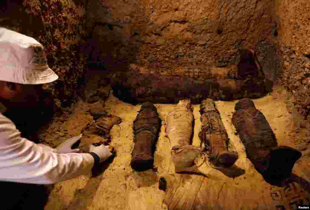 A Egyptian archaeologist examines mummies inside a tomb during the presentation of a new discovery at Tuna el-Gebel archaeological site in Minya Governorate, Egypt, Feb. 2, 2019.
