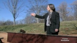 Історики відкривають правду про Джефферсона