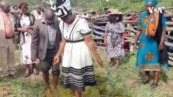 Do You Know This Bride Price Ritual?