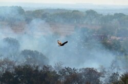 FILE - A fire burns a tract of the Amazon jungle in Agua Boa, Mato Grosso state, Brazil, Sept. 4, 2019.