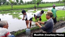 Muslihin (baju abu-abu) menerangkan metode SRI ke petani Sumba (courtesy: Muslihin)