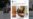 16x9 Image