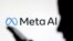 FILE: Meta AI logo is seen in this illustration taken September 28, 2023.