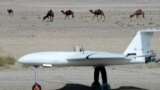 FILE In this photo released by the Iranian army on Tuesday, Oct. 3, 2023, camels graze as a drone is seen during the air force nationwide drone drill centered in northern Semnan province, Iran