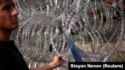 A migrant touches a razor wire fence at the border with Hungary near the village of Horgos, Serbia, September 16, 2015. (Stoyan Nenov/Reuters)