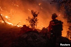 Seorang petugas pemadam kebakaran berjuang memadamkan api di Hutan Nasional Angeles dekat Gunung Wilson saat kebakaran hutan melanda wilayah Los Angeles, selama Kebakaran Eaton di Altadena, California, AS, 9 Januari 2025. (Foto: REUTERS/Ringo Chiu)