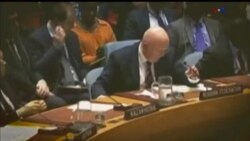 اخبار شامگاهی