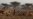 Dire Food Insecurity in Five East African Countries Facing Drought