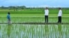 FILE - Presiden Joko Widodo berbicara dengan petani di Merauke, Papua. (Foto: dok Setpres)