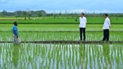 FILE - Presiden Joko Widodo berbicara dengan petani di Merauke, Papua. (Foto: dok Setpres)