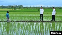 FILE - Presiden Joko Widodo berbicara dengan petani di Merauke, Papua. (Foto: dok Setpres)